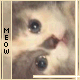 Meow avatar