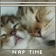 Nap Time avatar