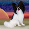 Papillon Art avatar