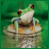 Green Frog avatar