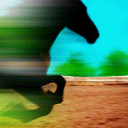 Horse Galloping avatar
