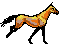 Horse avatar