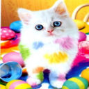 Kitty Learning To Paint avatar