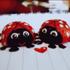 Ladybugs in love avatar