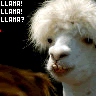 Llama llama llama avatar