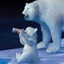 Polar Bears With Coca Cola 2 avatar