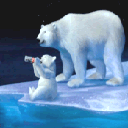 Polar Bears with Coca Cola gif avatar