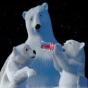 Polar Bears with Coca Cola jpg avatar