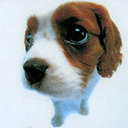 Puppy 3 avatar
