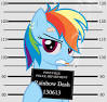 Rainbow Dash avatar