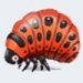 Red Insect avatar