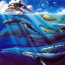 Sealife avatar