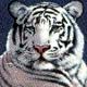 Snow tiger avatar