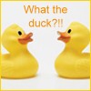 What the duck avatar
