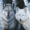 Wolves avatar