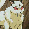 Kirara 2 avatar