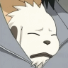 Akamaru Tired avatar