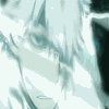 Windy avatar