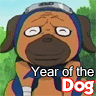 Year of the Dog avatar
