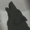 Wolf-Howl avatar