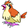 Pidgey avatar