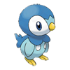 Piplup watching avatar