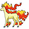 Rapidash avatar