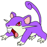 Rattata avatar
