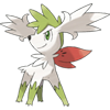 Shaymin avatar