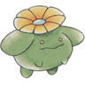 Skiploom avatar