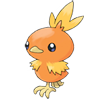 Torchic avatar