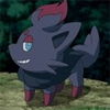 Zorua avatar