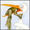 Never give up frog and bird avatar