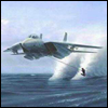 Plane waterski avatar