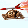 Rocket Tortoise avatar
