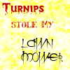 Turnips stole my lawnmower avatar