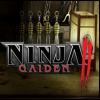 Ninja Gaiden avatar