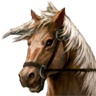 Epona avatar