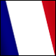 3D French Guiana Flag avatar