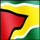3D Guyana Flag avatar