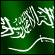 3D Saudi Arabia Flag avatar