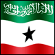 3D Somaliland Flag avatar