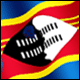 3D Swaziland Flag avatar