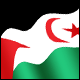 3D Western Sahara Flag avatar