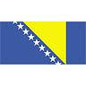 Bosnia And Herzegovina Flag (transparent) avatar