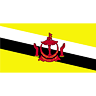 Brunei Flag (transparent) avatar