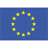 European Union Flag avatar