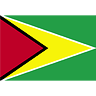 Guyana Flag avatar