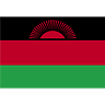 Malawi Flag (transparent) avatar