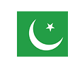 Pakistan Flag (transparent) avatar